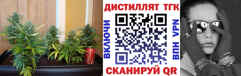 shop формула  Кола  ТГК гашишное масло 
