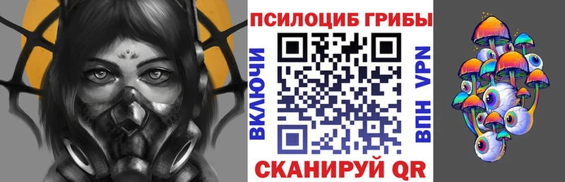 где купить наркоту Кола Псилоцибиновые грибы ЛСД